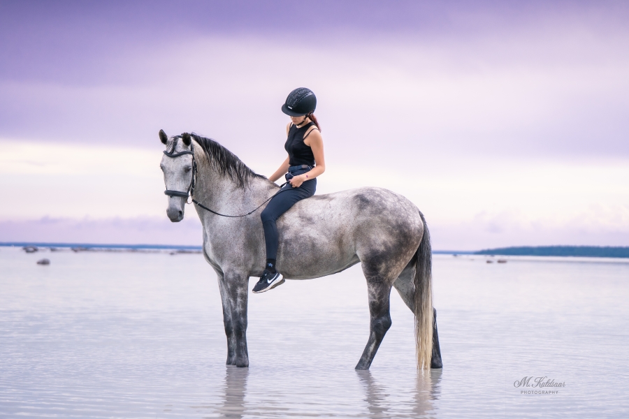 merepilt hall hobune